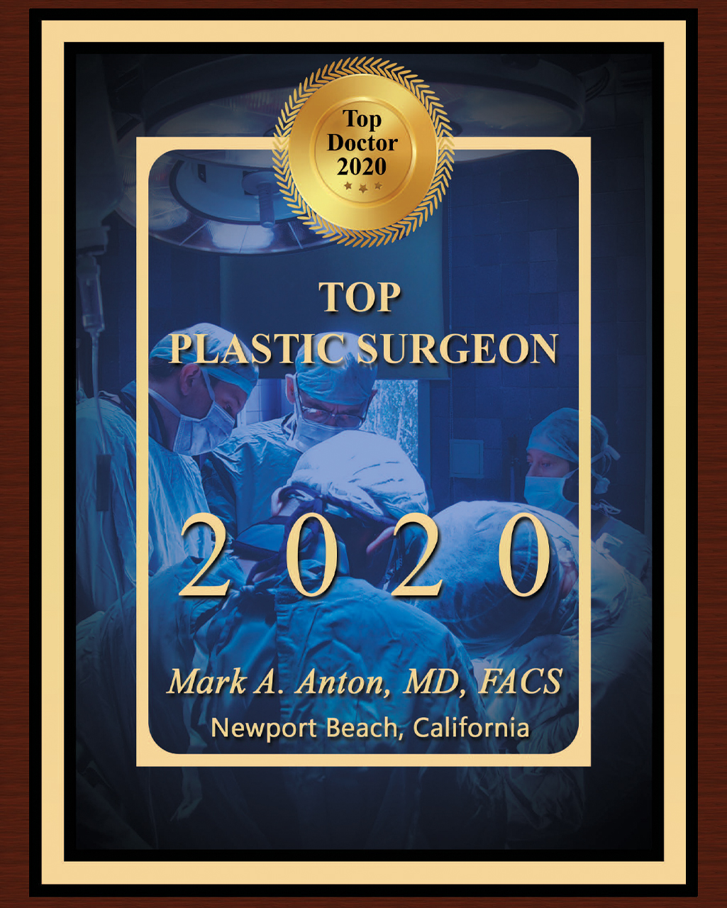 Top Plastic Surgeon 2020